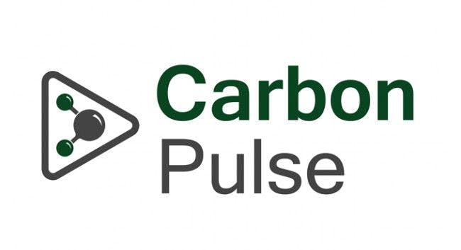 Carbon Pulse Article "INTERVIEW: World Bank to launch metadata project to clean up carbon market’s information problem"